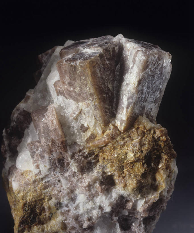 无人,竖图,室内,特写,黑色背景,黑色,自然,摄影,部分,环境,肌理,地质学,矿物质,自然地理,岩石,彩图,影棚拍摄,韧性