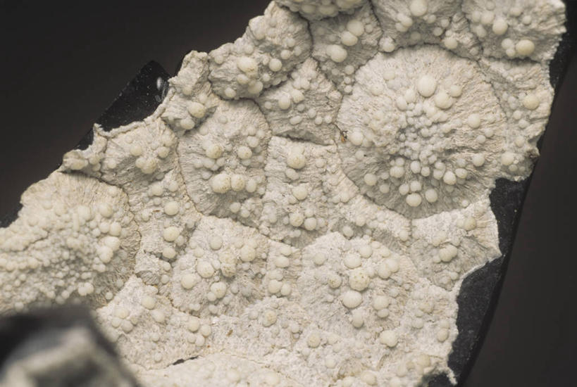 无人,横图,室内,特写,固体,自然,摄影,部分,环境,地质学,矿物质,自然地理,岩石,彩图,影棚拍摄