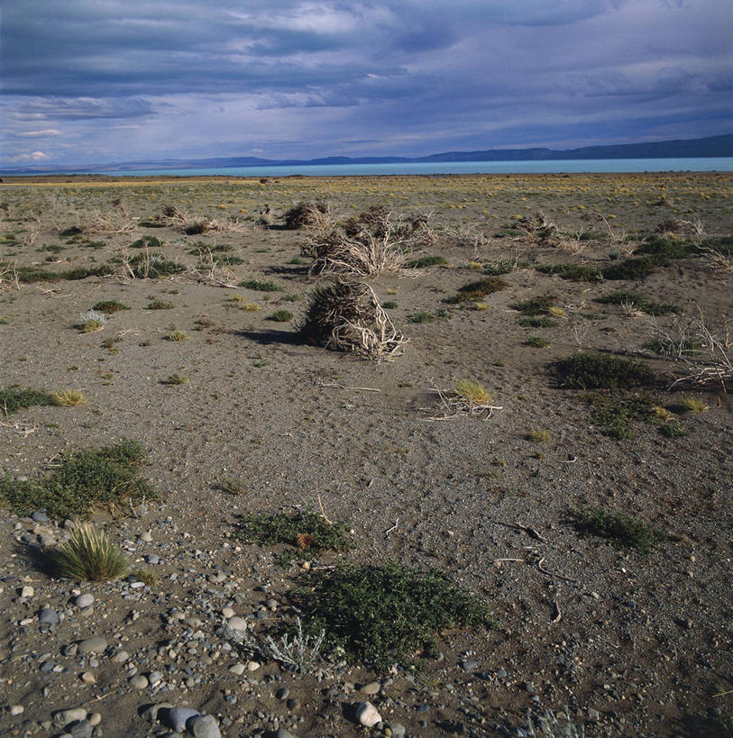 无人,竖图,方图,室外,白天,湖,阿根廷,地平线,地形,泥土,辽阔,地面,自然,广阔,南美,摄影,宁静,一望无际,环境,延伸,天地相交,巴塔哥尼亚,无边无际,一马平川,彩图