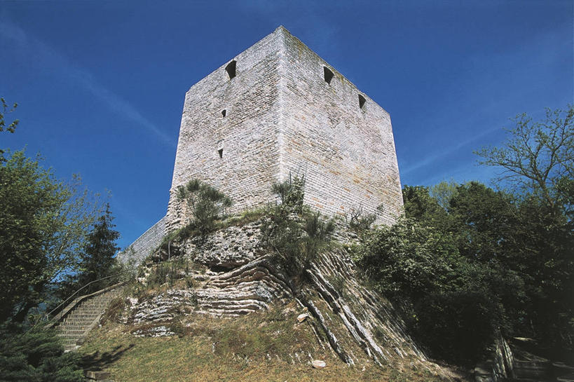 无人,横图,室外,白天,仰视,建筑,意大利,塔,历史,废墟,树,摄影,保护,要塞,意大利文化,古代文明,马尔凯大区,彩图,低角度拍摄