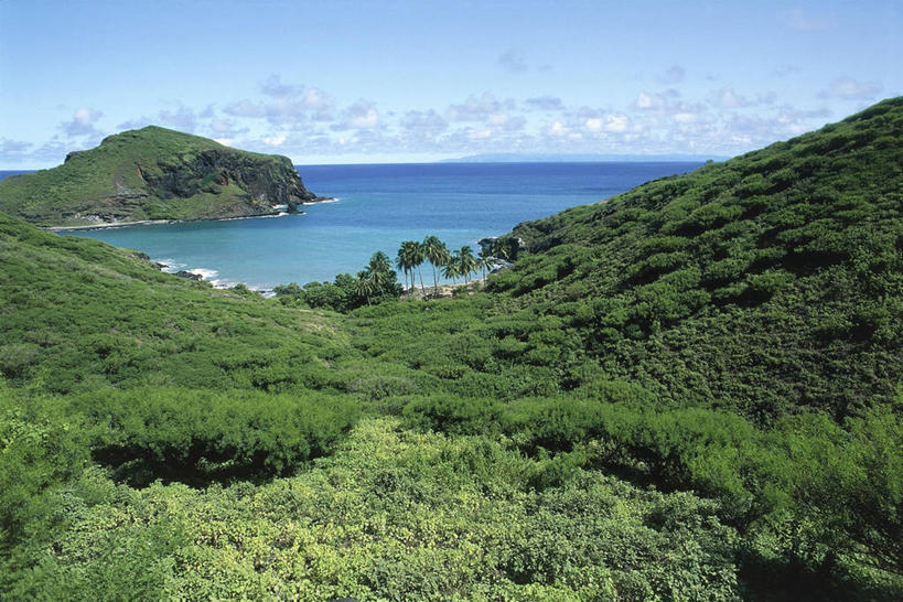 无人,横图,俯视,室外,白天,旅游,度假,海洋,美景,森林,水,岛,地平线,地形,海岸线,景观,水平线,娱乐,树,风景,自然,享受,休闲,景色,放松,摄影,环境,太平洋,气候,热带气候,自然风光,大洋洲,法属波利尼西亚,法属玻利尼西亚,马克萨斯群岛,西澳大利亚,自然地理,彩图,高角度拍摄,旅行,鲨鱼湾,法国海外领土