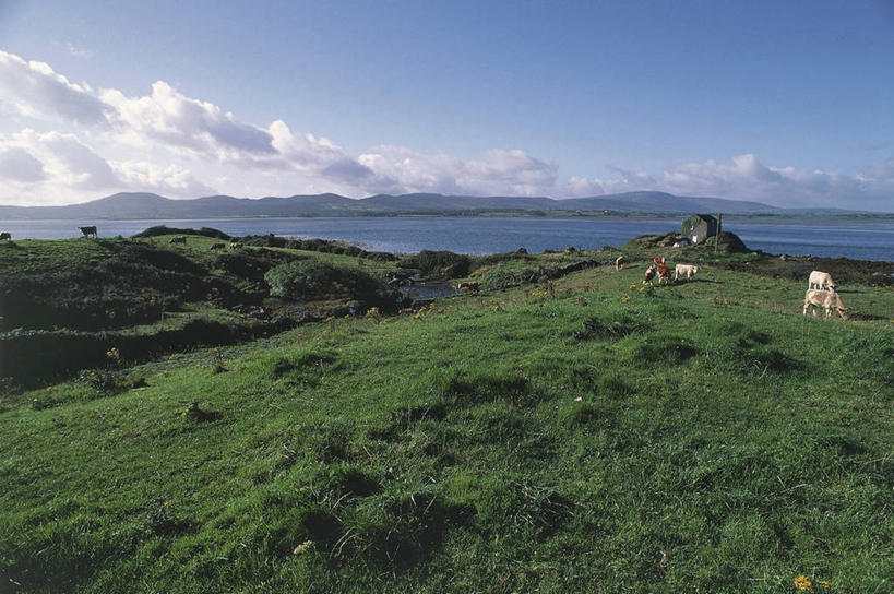 无人,横图,室外,白天,旅游,度假,农业,牧场,海洋,美景,山,水,爱尔兰,地平线,海岸线,景观,田地,云,辽阔,地面,娱乐,风景,天空,自然,享受,休闲,广阔,景色,放松,摄影,宁静,一望无际,环境,自然风光,北欧,延伸,爱尔兰共和国,天地相交,母牛,康诺特省,斯莱戈郡,无边无际,一马平川,自然地理,彩图