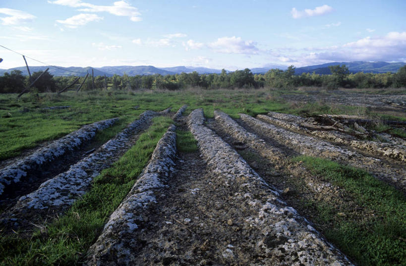 无人,横图,室外,白天,山,路,意大利,地平线,田地,辽阔,地面,风景,地标建筑,广阔,摄影,一望无际,延伸,意大利文化,托斯卡纳区,天地相交,无边无际,一马平川,古代文明,彩图,皮蒂利亚诺,景观设计