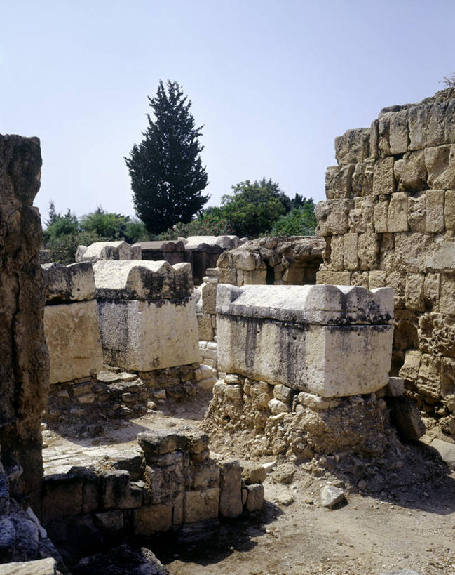 无人,竖图,室外,白天,黎巴嫩,历史,古罗马,废墟,树,地标建筑,摄影,考古学,坟墓,石棺,万里无云,古代文明,彩图