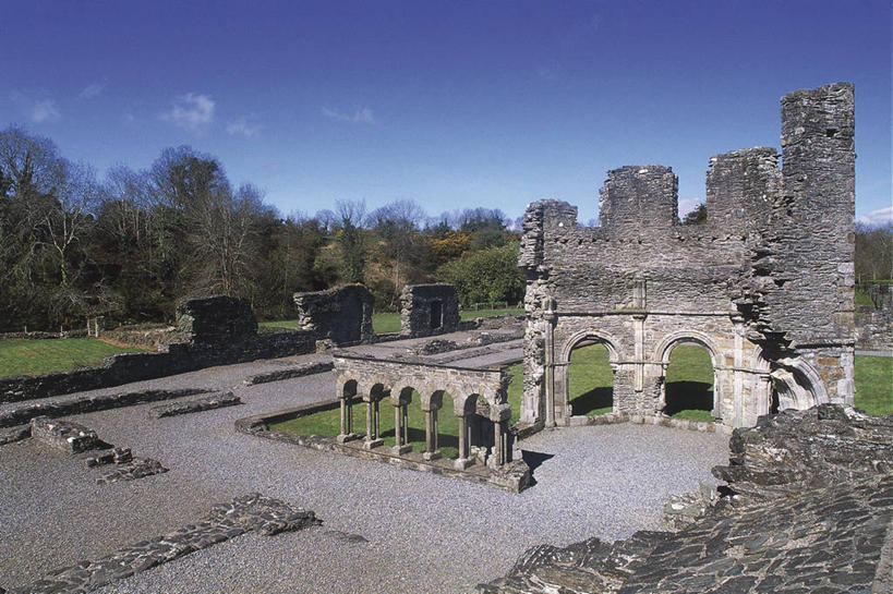 无人,横图,室外,白天,建筑,爱尔兰,历史,废墟,地标建筑,摄影,基督教,万里无云,劳斯郡,彩图,爱尔兰文化,过去