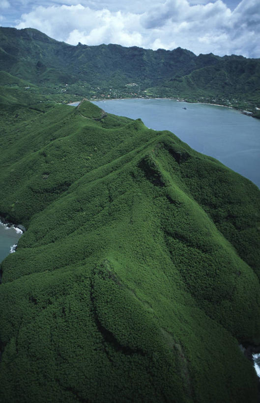 无人,竖图,俯视,室外,白天,海洋,森林,山,地平线,海岸线,辽阔,地面,海湾,风景,广阔,摄影,宁静,一望无际,气候,热带气候,延伸,天地相交,法属玻利尼西亚,马克萨斯群岛,无边无际,一马平川,彩图,高角度拍摄,旅行,法国海外领土