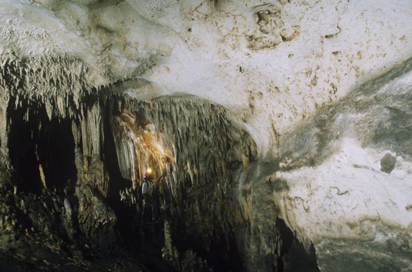 成年人,一个人,站,横图,室外,白天,探险,神秘,美景,照明,仅一个男性,行人,游客,游人,景观,极限运动,路人,旅客,灯,自然,灯具,表,景色,摄影,洞穴,照亮,国家公园,照明设备,拉丁美洲,自然风光,户外活动,钟乳石,前照灯,前大灯,车前灯,多米尼加共和国,过客,冒险,岩石,彩图,头灯