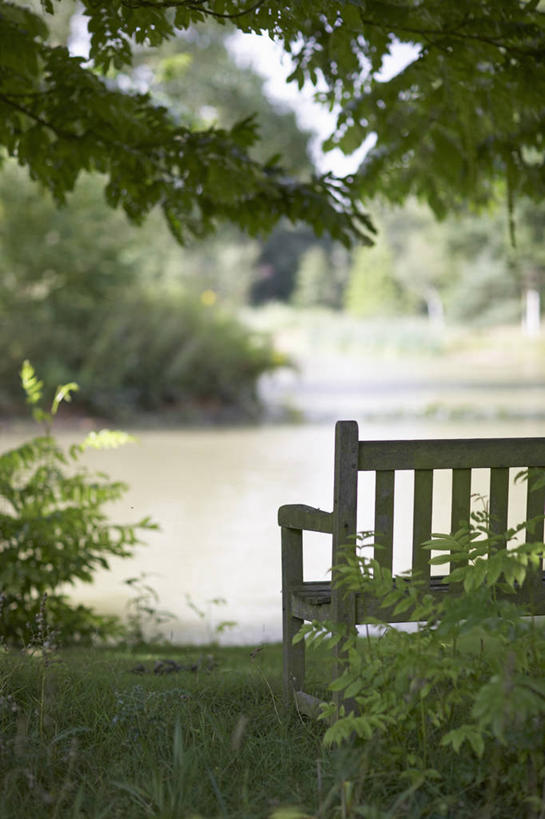 无人,竖图,室外,白天,湖,美景,水,植物,家具,英国,木制,长椅,景观,树荫,英格兰,座位,自然,夏天,景色,摄影,园林,自然风光,逆光,赫特福德郡,彩图,哈特菲尔德宫,对焦