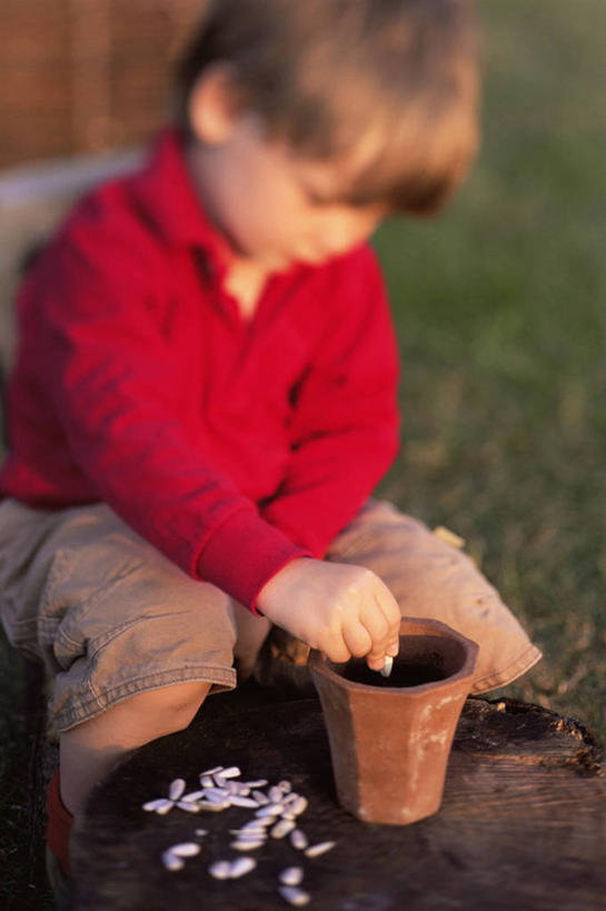 儿童,手,一个人,竖图,室外,白天,快乐,幸福,纯洁,植物,向日葵,花盆,园艺,玛格丽特,图像,休闲装,雏菊,小孩,春天,概念,菊花,生物,活力,季节,可爱,童年,童趣,人体,摄影,生长,希望,坚强,和平,童真,烂漫,无邪,秧苗,发展,离别,延命菊,幸福花,春菊,马兰头花,暗恋,纯情,单恋,构图,开端,天真,孩子,彩图,愉快,时空,延时摄影