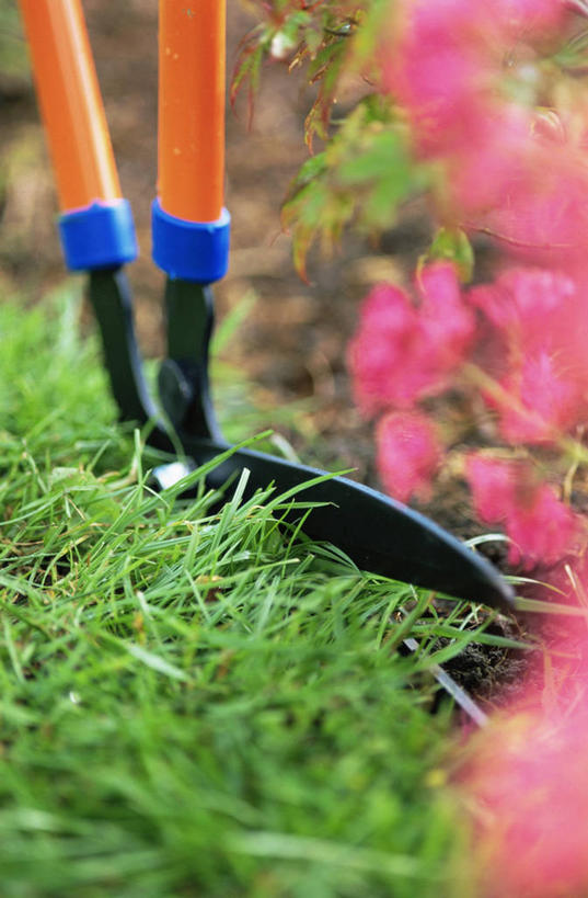 无人,家庭,竖图,室外,特写,白天,植物,园艺,图像,设备,物品,温暖,温馨,一家人,生物,摄影,和睦,主题,切断,构图,休闲活动,彩图,时空,融洽,对焦,家务劳动