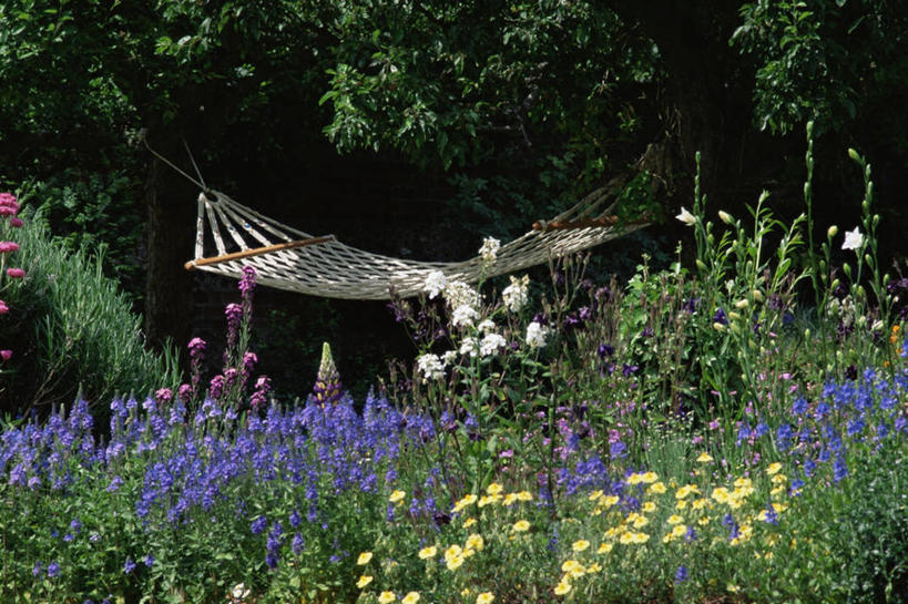 无人,横图,室外,白天,植物,吊床,庭院,地面,图像,花,自然,夏天,概念,放松,季节,摄影,生活方式,园林,主题,构图,彩图,时空