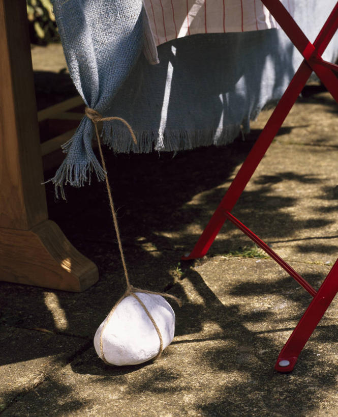 无人,竖图,室外,特写,白天,仰视,美景,植物,阴影,景观,自然,景色,摄影,生活方式,自然风光,彩图,低角度拍摄,游园会,对焦