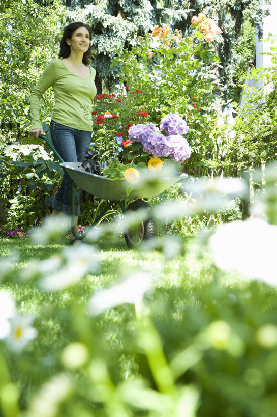成年人,中年人,一个人,推,微笑,竖图,室外,特写,白天,侧面,美景,仅一个女性,仅一个人,景观,园艺,拿着,设备,物品,花,自然,容器,夏天,仅一个中年女性,景色,摄影,生活方式,享乐,自然风光,独轮手推车,女人,女性,中年女性,休闲活动,彩图
