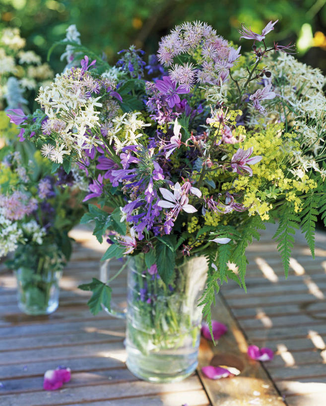 无人,竖图,室外,特写,白天,留白,爱情,桌子,玫瑰,静物,花瓶,日光,薄荷叶,浪漫,水壶,花,花瓣,粉色,黄色,紫色,白色,香草,花束,夏天,薰衣草,摄影,百里香,牛至,鼠尾草,天竺葵,草本,清新,柔焦,呼吸,灵香草,黄香草,金钱紫花葵,锦葵,荆葵,钱葵,淑气花,小白淑气花,恩惠,奇迹,彩图,唐松草,斗蓬草,对焦