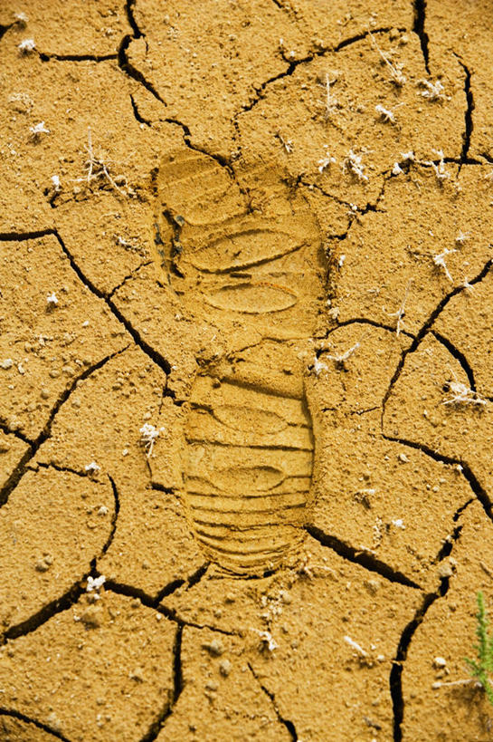 无人,竖图,俯视,室外,特写,白天,背景,神秘,脚印,泥土,褐色,自然灾害,天气,痕迹,热,图像,概念,摄影,泥,干旱,干的,视角,构图,想法,彩图,高角度拍摄,时空,状态