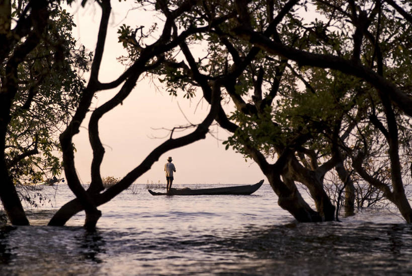 东方人,一个人,渔夫,站,横图,室外,白天,正面,旅游,度假,湖,湖泊,美景,日落,树林,水,植物,船,钓鱼竿,柬埔寨,亚洲,仅一个男性,仅一个人,仅一个中年男性,握,服装,湖面,景观,水流,水面,晚霞,霞光,落日,木船,枝条,注视,休闲装,黄种人,娱乐,树,树木,树枝,衣服,绿色,天空,自然,黄昏,交通工具,湖水,天,观察,看,站着,享受,休闲,休闲服,景色,彩霞,放松,握着,服饰,东南亚,生长,成长,观看,渔具,察看,舟,关注,自然风光,载具,暹粒,高棉,柬埔寨王国,吉蔑,洞里萨湖,夕照,虬枝,枝杈,薄暮,男人,男性,中年男性,亚洲人,捕鱼人,打鱼人,钓竿,鱼竿,夕阳,站立,彩图,全身,钓鱼,傍晚,斜阳