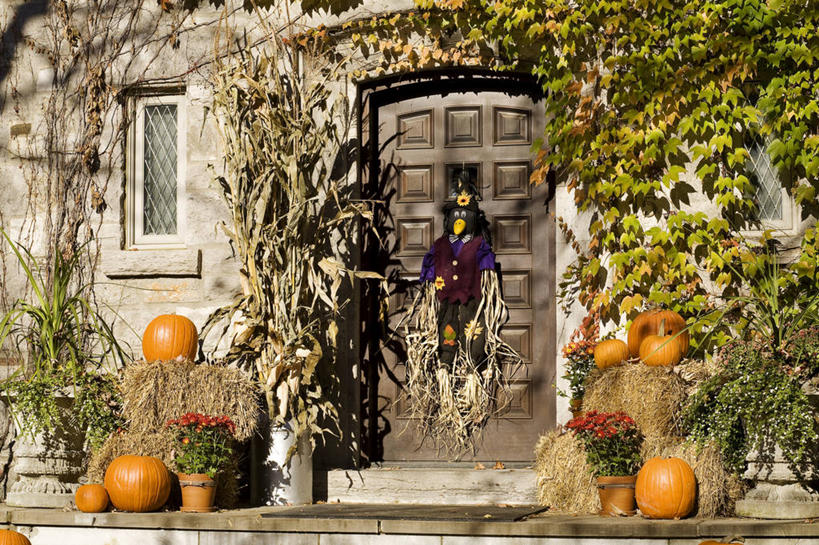 无人,家,横图,室外,白天,正面,度假,美景,植物,城市风光,城市,南瓜,蔬菜,花盆,加拿大,阴影,节日,庆祝,新鲜,光线,盆栽,影子,陶瓷,房屋,墙,屋子,景观,金瓜,食品,盆景,陶瓷制品,文化,娱乐,楼房,番瓜,墙壁,墙面,住宅,食物,绿色,阳光,自然,容器,庆典,享受,休闲,橙色,万圣节,景色,放松,有机食品,绿色食品,生长,成长,纪念,储藏,麦瓜,倭瓜,北美,北美洲,储存,美洲,巫师,女巫,北亚美利加洲,亚美利加洲,魁北克省,蒙特利尔,蒙特利尔市,蒙特娄,圣人之城,彩图,房子,古壁省,魁省,贮存