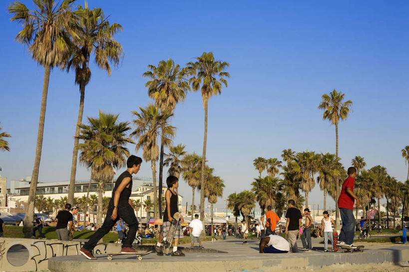 西方人,站,走,横图,室外,白天,仰视,度假,美景,沙滩,植物,城市风光,城市,棕榈树,叶子,欧洲,美国,欧洲人,行人,阴影,服装,光线,沙子,影子,海岸,景观,绿叶,沙地,许多人,注视,休闲装,娱乐,路人,树,树木,衣服,蓝色,绿色,蓝天,天空,阳光,自然,天,观察,看,站着,一群人,享受,休闲,休闲服,嫩叶,景色,放松,服饰,生长,晴朗,成长,观看,察看,北美,北美洲,关注,加利福尼亚,美洲,棕榈叶,加州,洛杉矶,加利福尼亚州,万里无云,金州,黄金州,威尼斯海滩,北亚美利加洲,亚美利加洲,过客,天使之城,男人,男性,年轻男性,年轻女性,女人,女性,白种人,叶,叶片,海滩,晴空,晴空万里,棕树,棕榈,步行,散步,站立,走路,半身,彩图,低角度拍摄,美利坚合众国