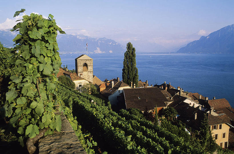 无人,家,果园,横图,室外,白天,正面,旅游,度假,湖,湖泊,美景,山,山脉,水,田园,瑞士,欧洲,阴影,波纹,光线,影子,房屋,屋子,湖面,景观,山峰,水流,水面,云,云朵,公寓,涟漪,山峦,云彩,娱乐,洋房,楼房,葡萄园,莱蒙湖,架子,住宅,蓝色,白云,倒影,蓝天,水纹,天空,阳光,自然,庄园,波浪,湖水,群山,天,享受,休闲,景色,放松,晴朗,支撑,固定,倒映,自然风光,葡萄架,中欧,水晕,日内瓦湖,瑞士联邦,莱芒湖,反照,沃州,晴空,彩图,房子