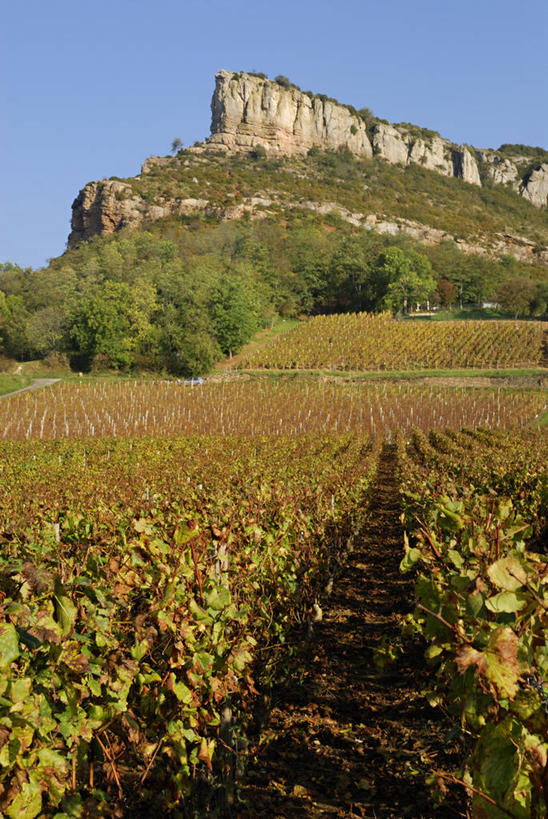 无人,果园,竖图,室外,白天,正面,旅游,度假,草地,草坪,石头,美景,田园,植物,法国,欧洲,阴影,光线,石子,影子,景观,悬崖,娱乐,葡萄园,草,树,树木,蓝色,绿色,蓝天,天空,阳光,自然,庄园,天,享受,休闲,景色,放松,生长,晴朗,成长,勃艮第,西欧,法兰西,自然风光,万里无云,法兰西共和国,法兰西第五共和国,绝壁,勃艮第大区,索恩.卢瓦尔省,石块,岩石,晴空,晴空万里,彩图