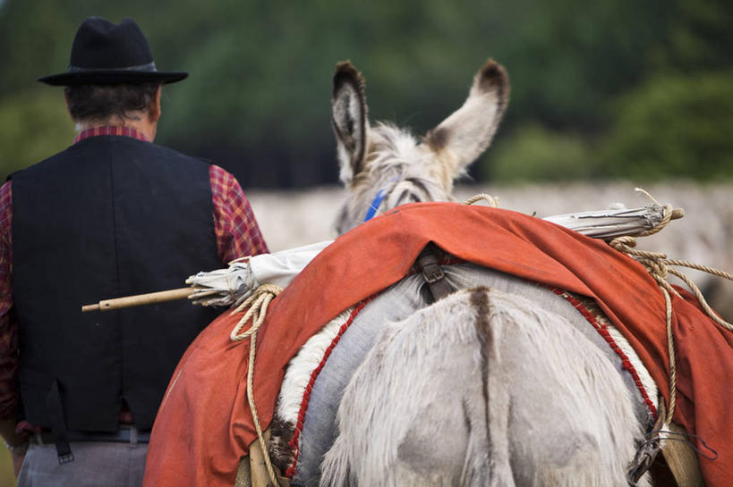 西方人,一个人,走,横图,室外,白天,旅游,度假,美景,植物,帽子,法国,欧洲,欧洲人,仅一个男性,仅一个人,仅一个中年男性,牵,服装,朦胧,模糊,景观,休闲装,礼帽,娱乐,树,树木,背面,衣服,绿色,自然,动物,享受,休闲,休闲服,家畜,景色,放松,服饰,牲畜,生长,成长,牵着,西欧,法兰西,自然风光,驴,圣雷米,法兰西共和国,法兰西第五共和国,驴子,罗纳河口,普罗旺斯.阿尔卑斯.蓝色海岸,普罗旺斯.阿尔卑斯.蓝色海岸大区,罗讷河口省,男人,男性,中年男性,白种人,步行,散步,走路,半身,彩图