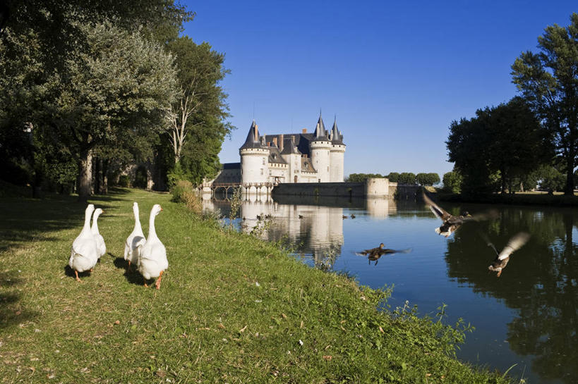 无人,家,走,横图,室外,白天,旅游,度假,草地,草坪,河流,名胜古迹,水,植物,标志建筑,地标,建筑,鸟,野生动物,天鹅,法国,欧洲,四只,阴影,波纹,遗迹,光线,鸟类,影子,堡垒,城堡,房屋,屋子,河水,水流,公寓,涟漪,古迹,文物,娱乐,建设,古建筑,洋房,楼房,住宅,草,树,树木,背面,蓝色,绿色,倒影,蓝天,水纹,天空,阳光,自然,动物,波浪,天,享受,休闲,旅游胜地,放松,可爱,生长,晴朗,成长,倒映,西欧,要塞,法兰西,古文明,万里无云,法兰西共和国,水晕,法兰西第五共和国,反照,设防,卢瓦雷省,中央大区,晴空,晴空万里,鹄,步行,散步,走路,彩图,全身,房子