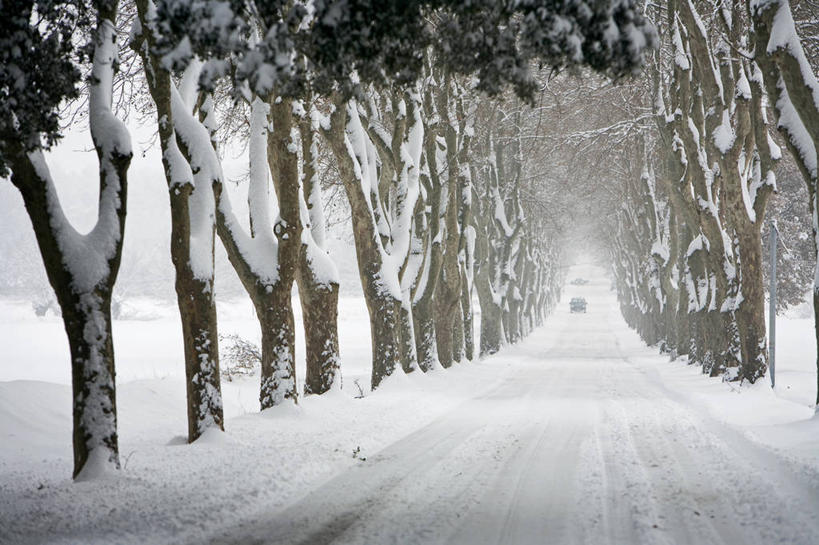 无人,横图,室外,白天,正面,消失点,旅游,度假,美景,雪,植物,大雪,道路,路,汽车,法国,欧洲,一辆,一排,整齐,并列,并排,积雪,景观,雪景,冬季,冬天,小路,交通,娱乐,车,树,树木,排列,绿色,自然,交通工具,轿车,驾驶,行驶,享受,休闲,景色,放松,寒冷,生长,成长,操纵,控制,西欧,队列,法兰西,自然风光,载具,平行,操控,艾克斯,法兰西共和国,法兰西第五共和国,严寒,把持,普罗旺斯.阿尔卑斯.蓝色海岸,普罗旺斯.阿尔卑斯.蓝色海岸大区,罗讷河口省,罗讷河口,彩图,没影点,灭点,普罗旺斯地区艾克斯