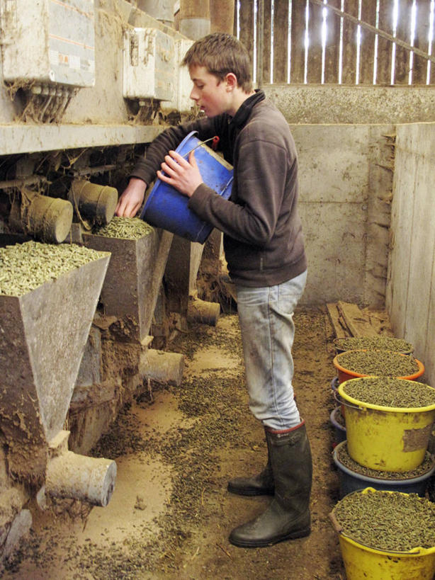 西方人,一个人,农民,农场,站,竖图,室内,白天,侧面,畜牧业,牧场,鞋子,欧洲,欧洲人,仅一个男性,仅一个人,握,服装,桶,雨鞋,雨靴,塑料,拿,拿着,注视,休闲装,靴子,仅一个年轻男性,衣服,容器,塑料制品,观察,看,站着,休闲,休闲服,握着,服饰,观看,储藏,塑料桶,察看,储存,关注,胶鞋,畜牧,牧业,食槽,饲料槽,男人,男性,年轻男性,白种人,佃农,农场主,农夫,农工,乡下人,小农,庄稼人,站立,彩图,全身,贮存