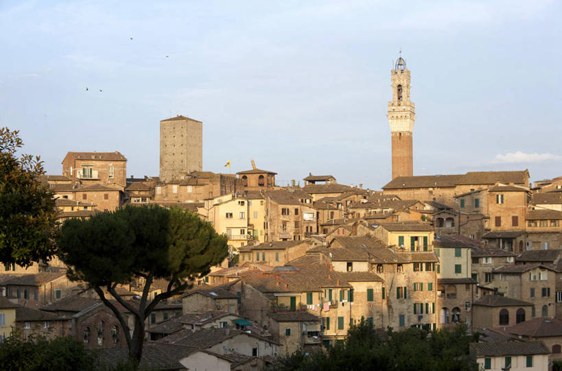 无人,家,横图,室外,白天,正面,旅游,度假,名胜古迹,植物,标志建筑,地标,建筑,意大利,欧洲,罗马,阴影,遗迹,时间,光线,时钟,瓦片,影子,房屋,屋顶,屋子,云,云朵,钟楼,首都,计时,云彩,顶棚,瓦,古迹,文物,娱乐,建设,古建筑,楼房,住宅,树,树木,蓝色,绿色,白云,蓝天,天空,阳光,自然,钟表,天,享受,休闲,表,旅游胜地,放松,建造,生长,晴朗,成长,拉齐奥,南欧,古文明,坎波广场,屋瓦,意大利共和国,塔钟,曼贾塔钟楼,拉齐奥大区,罗马省,钟,晴空,彩图,房子,永恒之城