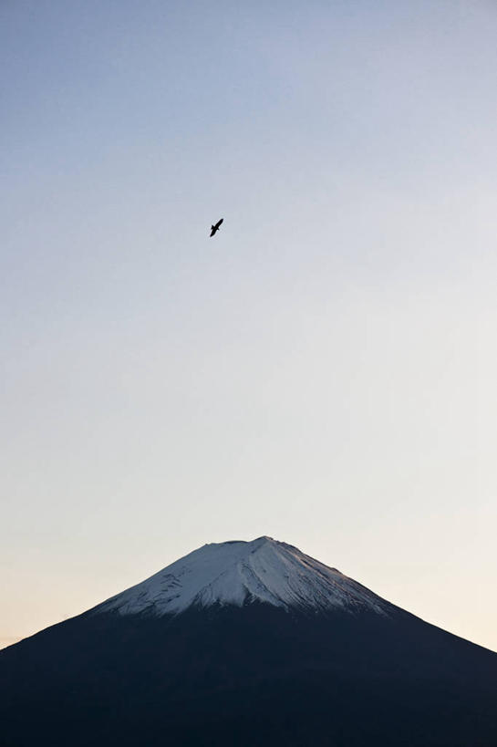 无人,竖图,室外,白天,仰视,旅游,度假,火山,美景,山,雪,雪山,大雪,鸟,富士山,日本,亚洲,飞翔,伸展,张开,展翅,阴影,飞行,光线,翅膀,鸟类,影子,冰,积雪,景观,山峰,雪景,冬季,冬天,山峦,翱翔,娱乐,飞,一只,蓝色,蓝天,天空,阳光,自然,天,享受,休闲,景色,放松,寒冷,晴朗,冰冷,自然风光,东亚,张开翅膀,本州,万里无云,本州岛,日本国,中部地方,山梨,山梨县,严寒,冰凉,酷寒,凛冽,凛凛,极冷,富士五湖,展开翅膀,活火山,晴空,晴空万里,彩图,低角度拍摄,全身,河口湖,南都留郡,富士河口湖町