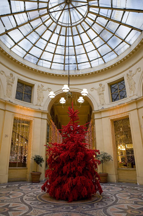 无人,竖图,室内,白天,仰视,旅游,度假,植物,窗户,门,标志建筑,地标,建筑,照明,法国,巴黎,欧洲,圣诞节,阴影,节日,庆祝,装饰,环绕,缠绕,光线,彩灯,挂饰,盆栽,影子,墙,天窗,走道,走廊,过道,灯光,圣诞树,盆景,圣诞球,首都,文化,娱乐,建设,吊灯,玻璃窗,墙壁,墙面,灯,球,树,树木,红色,绿色,灰色,自然,灯具,门框,庆典,享受,休闲,球体,旅游胜地,放松,花灯,生长,成长,纪念,华丽,修饰,照亮,点缀,照明设备,西欧,法兰西,纠缠,法兰西共和国,拱廊,衬托,美观,雅致,雅观,法兰西第五共和国,法兰西岛,法兰西岛大区,彩图,低角度拍摄,巴黎省,巴黎市,巴黎第二区,薇薇安拱廊街