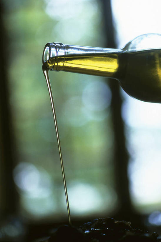 无人,竖图,室外,特写,白天,仰视,窗户,法国,欧洲,倒,阴影,朦胧,模糊,反射,影子,食用油,油,橄榄油,玻璃窗,玻璃制品,一个,黄色,玻璃瓶,瓶子,单个,西欧,法兰西,植物油,法兰西共和国,法兰西第五共和国,普罗旺斯.阿尔卑斯.蓝色海岸,普罗旺斯.阿尔卑斯.蓝色海岸大区,彩图,低角度拍摄,上普罗旺斯阿尔卑斯省