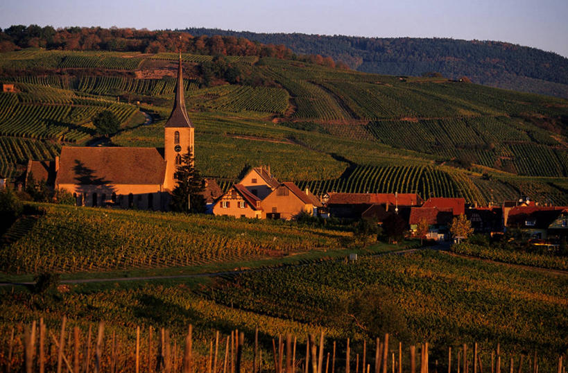 无人,家,果园,教堂,横图,室外,白天,正面,旅游,度假,草地,草坪,美景,日落,山,山脉,田园,植物,法国,欧洲,节日,时间,时钟,瓦片,房屋,屋顶,屋檐,屋子,景观,山峰,晚霞,霞光,落日,山峦,计时,顶棚,文化,娱乐,楼房,葡萄园,檐,住宅,草,树,树木,绿色,天空,自然,黄昏,钟表,庄园,群山,天,祈祷,享受,休闲,健康,表,景色,彩霞,放松,许愿,宗教,信仰,生长,成长,纪念,祈求,阿尔萨斯,西欧,法兰西,自然风光,信念,法兰西共和国,法兰西第五共和国,塔钟,夕照,薄暮,阿尔萨斯大区,平安,钟,夕阳,彩图,傍晚,房子,大教堂,礼拜堂,下莱茵省,诺塔尔唐,斜阳