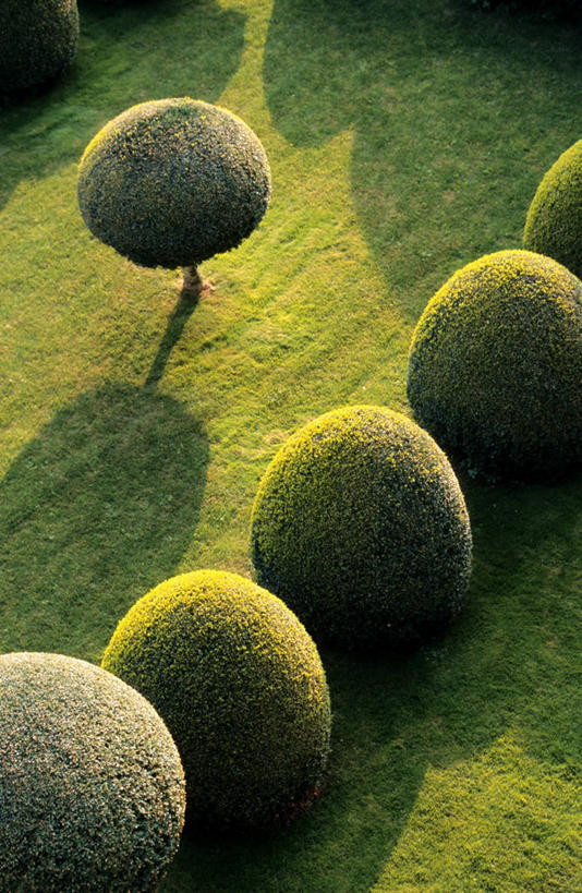 无人,竖图,俯视,室外,白天,旅游,度假,草地,草坪,美景,植物,法国,欧洲,阴影,光线,影子,庭院,景观,院子,娱乐,草,树,树木,绿色,阳光,自然,享受,休闲,景色,放松,生长,成长,西欧,法兰西,自然风光,法兰西共和国,法兰西第五共和国,南部.比利牛斯,洛特省,南部.比利牛斯大区,彩图,高角度拍摄,古尔东,古尔东区