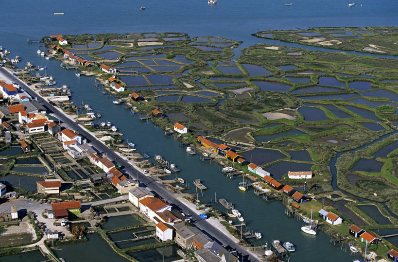 无人,家,横图,俯视,航拍,室外,白天,旅游,度假,草地,草坪,海浪,海洋,河流,美景,水,植物,法国,欧洲,阴影,波纹,光线,影子,房屋,屋子,河水,景观,浪花,水流,涟漪,娱乐,楼房,住宅,草,树,树木,绿色,倒影,水纹,阳光,自然,海水,波浪,享受,休闲,景色,放松,生长,成长,倒映,西欧,鸟瞰,法兰西,自然风光,海景,法兰西共和国,水晕,法兰西第五共和国,反照,普瓦图.夏朗德,普瓦图.夏朗德大区,夏朗德省,大海,风浪,海,海水的波动,近岸浪,涌浪,彩图,高角度拍摄,房子,罗什福尔区,拉特朗布拉德