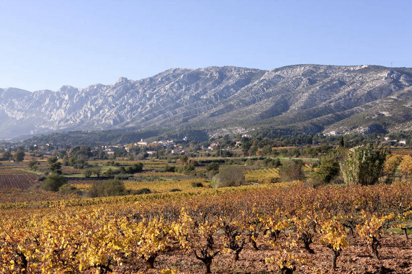 无人,果园,横图,室外,白天,正面,旅游,度假,草地,草坪,石头,美景,山,山脉,田园,植物,法国,欧洲,阴影,光线,石子,影子,景观,山峰,山峦,娱乐,葡萄园,架子,草,树,树木,蓝色,绿色,蓝天,天空,阳光,自然,庄园,群山,天,享受,休闲,景色,放松,生长,晴朗,成长,支撑,固定,西欧,法兰西,自然风光,葡萄架,万里无云,法兰西共和国,法兰西第五共和国,普罗旺斯.阿尔卑斯.蓝色海岸,普罗旺斯.阿尔卑斯.蓝色海岸大区,罗讷河口省,罗讷河口,石块,岩石,晴空,晴空万里,彩图,莱斯佩尼斯米拉波