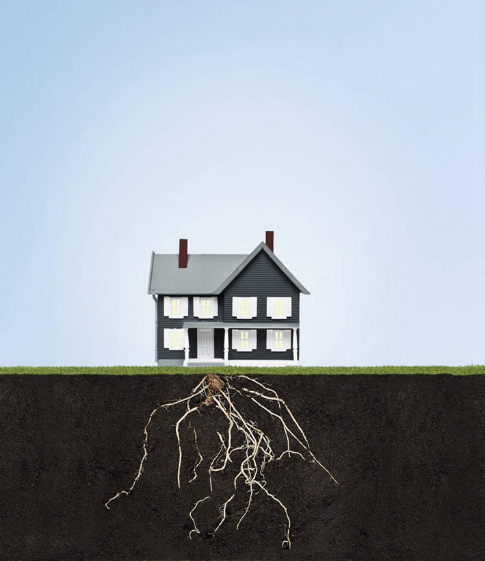 无人,家,竖图,室外,白天,正面,窗户,门,阴影,光线,影子,房屋,墙,屋子,泥土,土壤,根须,楼房,玻璃窗,墙壁,墙面,住宅,一个,蓝色,蓝天,天空,阳光,门框,天,生长,晴朗,单个,成长,发展,万里无云,晴空,晴空万里,彩图,房子