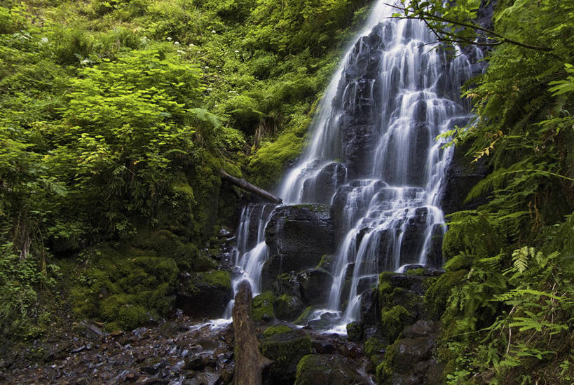 无人,横图,室外,白天,正面,旅游,度假,石头,美景,瀑布,山,山脉,树林,水,植物,美国,阴影,飞溅,溅,光线,石子,液体,影子,高地,景观,山峰,水滴,山峦,娱乐,水珠,树,树木,绿色,阳光,自然,群山,享受,休闲,景色,放松,生长,成长,北美,北美洲,喷洒,自然风光,美洲,河谷,俄勒冈州,哥伦比亚河谷,俄勒冈,北亚美利加洲,亚美利加洲,落日之州,水獭之州,海狸州,哥伦比亚谷,哥伦比亚山谷,跌水,石块,岩石,彩图