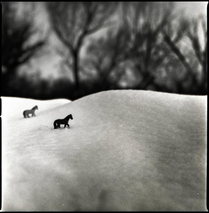 无人,方图,黑白,室外,白天,雪,马,玩具,意大利,小的,冬天,两个,自然,寒冷,摄影,悲哀,独处