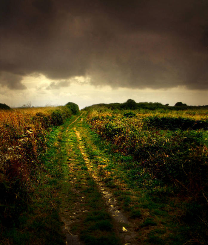 无人,竖图,室外,白天,草地,美景,暴风雨,法国,地平线,地形,景观,旷野,乌云,小路,辽阔,地面,风景,自然,广阔,景色,摄影,一望无际,自然风光,延伸,天地相交,无边无际,一马平川,基伯龙,彩图