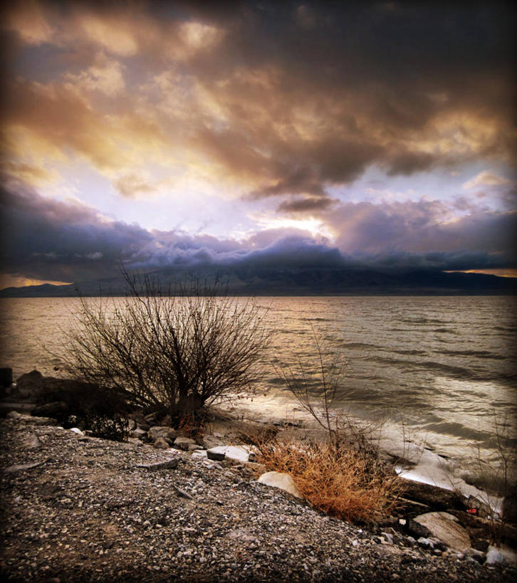 无人,竖图,室外,白天,美国,地平线,地形,河岸,冬天,辽阔,地面,风景,波浪,广阔,摄影,灌木,宁静,一望无际,延伸,天地相交,犹他,无边无际,一马平川,彩图,犹他湖