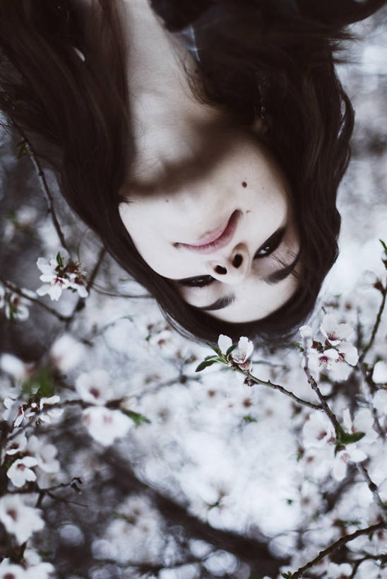 西方人,成年人,脸,头,脸颊,头发,一个人,竖图,室外,特写,白天,樱花,欧洲,欧洲人,仅一个年轻女性,仅一个女性,仅一个人,盛开,首都,花蕾,注视,肩膀,花,花瓣,花朵,鲜花,黑色,花苞,花蕊,观察,看,摄影,观看,察看,关注,肖像,嫩枝,安卡拉,年轻女性,女人,女性,白种人,年轻人,头部,长发,脸部,脸蛋,面部,彩图,美人