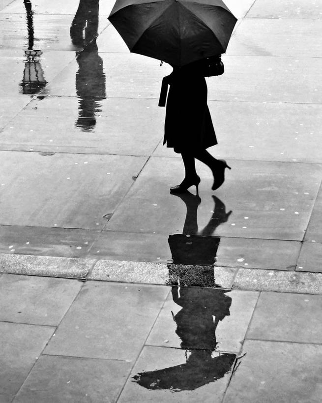 成年人,中年人,一个人,广场,竖图,黑白,室外,白天,雨,城市,英国,仅一个女性,仅一个人,湿,反射,伞,人行道,首都,仅一个中年女性,摄影,剪影,英国文化,特拉法尔加广场,女人,女性,中年女性,步行