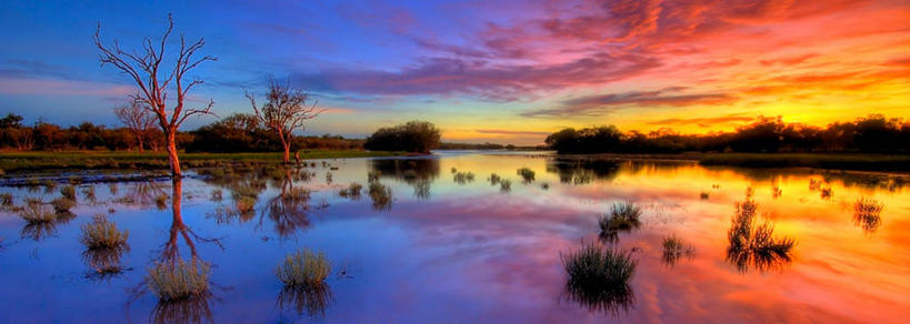 无人,横图,全景,室外,日出,美景,植物,澳大利亚,反射,景观,风景,自然,景色,摄影,宁静,自然风光,潘塔纳尔湿地,西澳大利亚,彩图