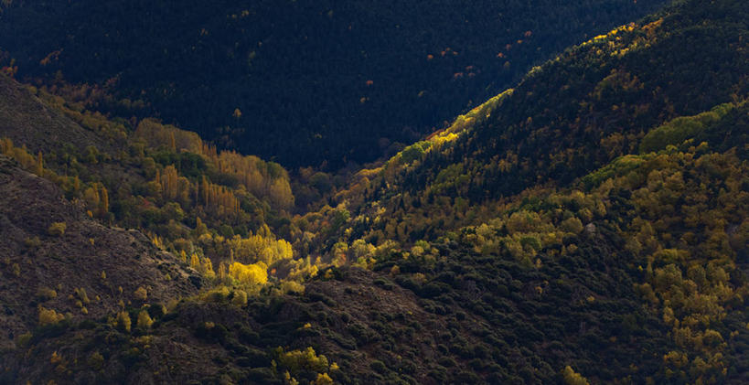 无人,横图,室外,白天,美景,山,日光,西班牙,景观,山谷,树,自然,景色,摄影,宁静,自然风光,改变,万里无云,莱里达省,秋天,彩图