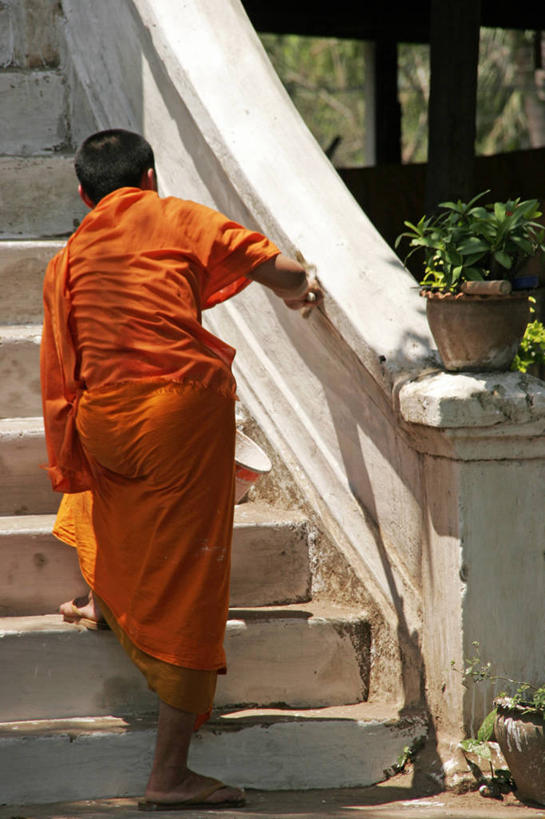 成年人,一个人,竖图,室外,白天,花盆,日光,老挝,仅一个男性,弯腰,阴影,拿着,台阶,背面,摄影,佛教,上升,琅勃拉邦,灵性,香通寺,僧侣,彩图,传统服装,传统文化