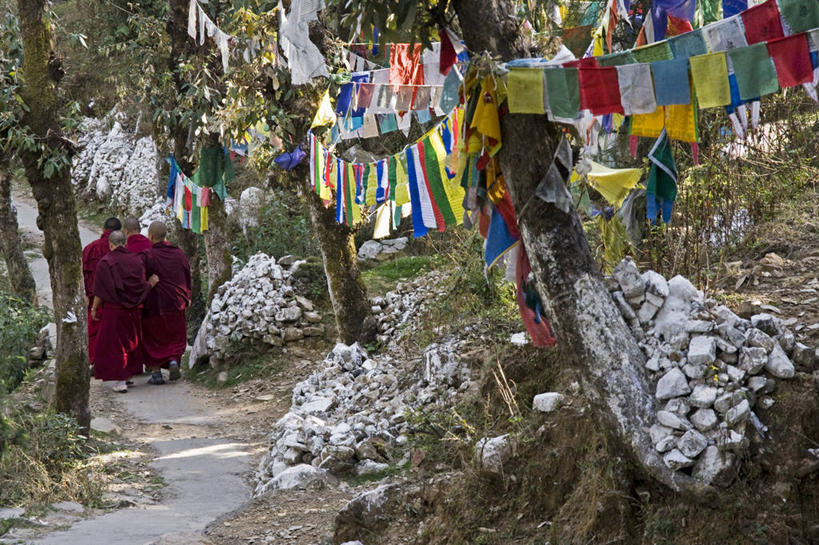 成年人,四个人,横图,室外,白天,印度,小路,经幡,树,树干,背面,自然,摄影,宗教,佛教,喜马偕尔邦,僧侣,步行,彩图,传统文化