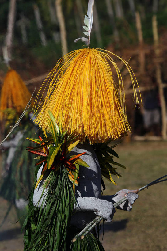成年人,一个人,竖图,室外,白天,巴布亚新几内亚,仅一个男性,表演,庆祝,遮,遮掩,摄影,掩盖,享乐,遮挡,遮盖,新不列颠,掩饰,半身,彩图,传统服装,舞蹈,传统文化,传统节日