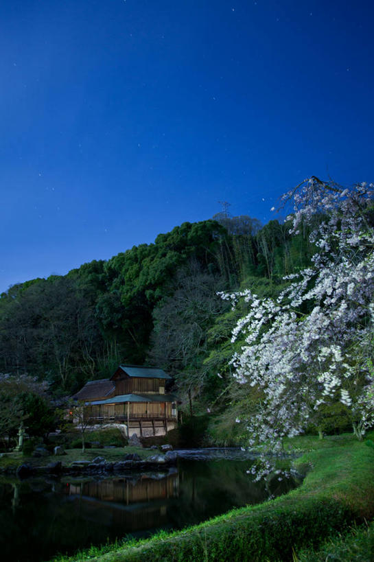 无人,竖图,室外,美景,山,建筑,樱花,日本,日本文化,反射,房屋,池塘,景观,星星,枝,月光,草,天空,自然,黄昏,景色,摄影,生长,自然风光,冈山县,彩图