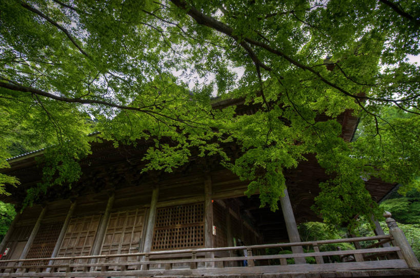 无人,寺庙,横图,室外,白天,仰视,建筑,日本,神奈川县,树,天空,摄影,宗教,宗教建筑,镰仓,灵性,彩图,低角度拍摄